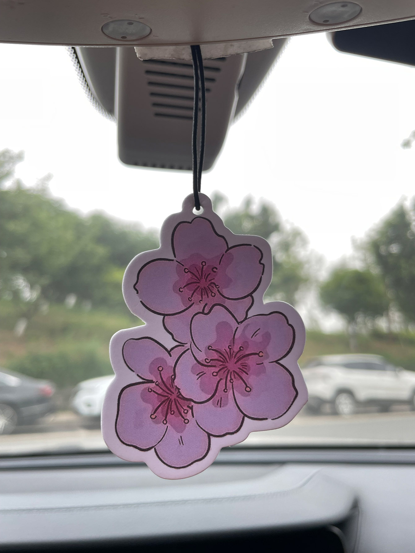 Sakura/Freesia Fresh Scent Fiv – обзор и цена Home Bathroom Freshener