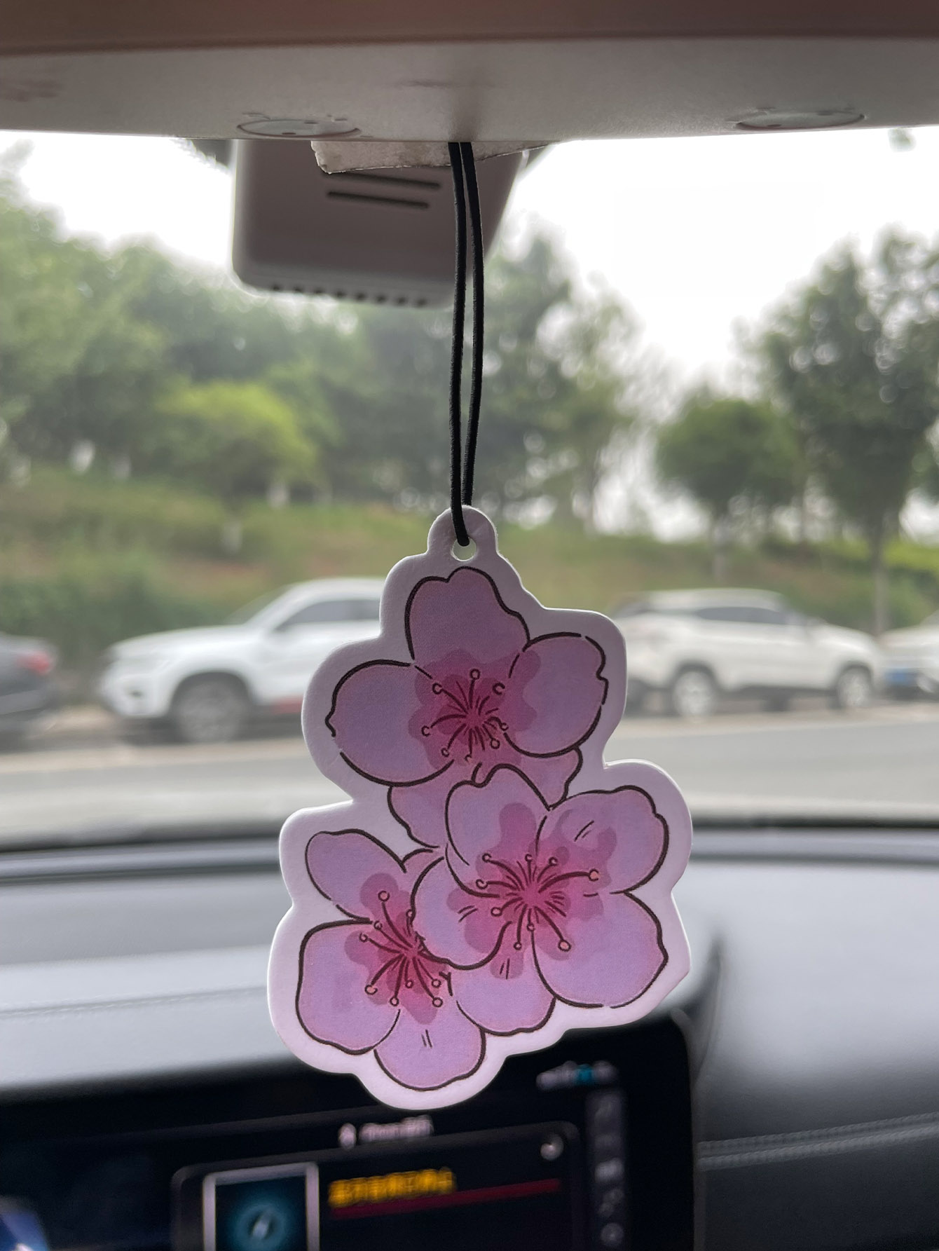 Sakura/Freesia Fresh Scent Fiv – обзор и цена Home Bathroom Freshener